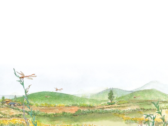 미래엔 고등 국어